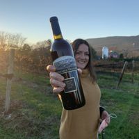 Whitecliff Wines, the ridge, the vines   at Whitecliff Winery in Gardiner