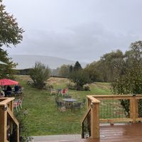   at Whitecliff Winery in Gardiner