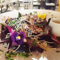 Vegetarian ceasar salad at V.O.P. - Very Organic People in Santiago