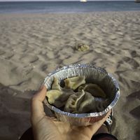 Momo’s at the beach 🏖   at Momo Express in Lagos