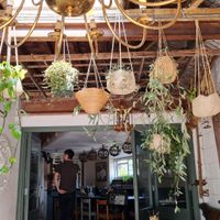  at Gather in Batheaston