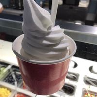 Large coconut milk coconut   at Pinkberry in Glendale