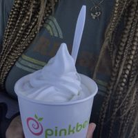 Coconut milk coconut   at Pinkberry in Glendale