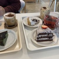   at Fall in the Pool in Daejeon