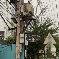   at Vegetarian in the Golden Age in Vientiane