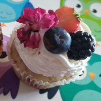 Vegan cupcake with berries at Baking Bees in Castelfranco Veneto