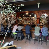   at Wood Ear in Telluride