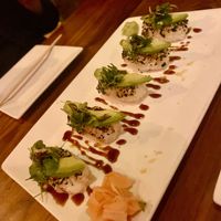   at Wood Ear in Telluride