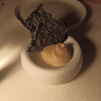 Tapa para empezar at MUDRA Plant Based  in Madrid