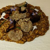 Risotto at MUDRA Plant Based  in Madrid