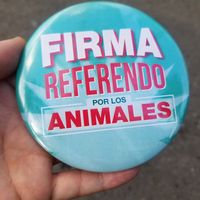  at Las Veganas in Medellin