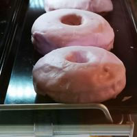  at Paper Cup in South Fremantle