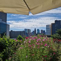  at TEDS in Rotterdam