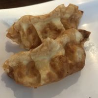 Apple gyoza (six altogether)  at Nudo Noodle House in Newcastle Upon Tyne