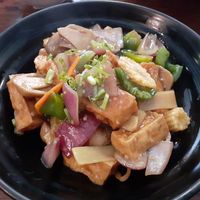 Tofu and vegetables with pan fried noodles at Nudo Noodle House in Newcastle Upon Tyne