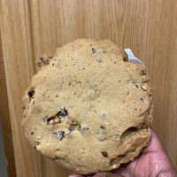 Chocolate chip and walnut  at Cinnamon Works in Seattle