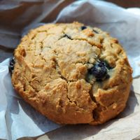 Lemon Blueberry Scone (sugar free and vegan) at Cinnamon Works in Seattle