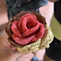   at Amorino in Mexico City