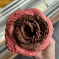   at Amorino in Mexico City