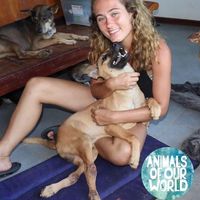   at Animals Of Our World Sanctuary in Siem Reap