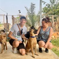 Being with the dogs   at Animals Of Our World Sanctuary in Siem Reap