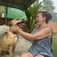 Lovely dogs   at Animals Of Our World Sanctuary in Siem Reap