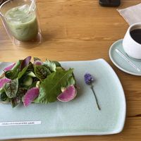  #Veganuary at Glück in Oaxaca