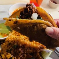 Birria taco with jackfruit and vegan cheese   at Poco Loco in Toledo