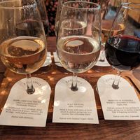Vegan flight at Pairings Wine Bar in York