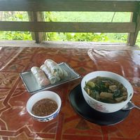 Big Spring rolls and lao mushroom soup at Organic Farm Restaurant in Phoudindaeng