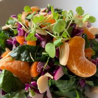  at Spice of Life in Paso Robles