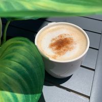  at Spice of Life in Paso Robles