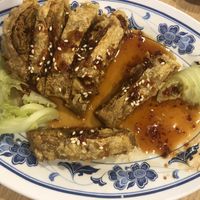 Duck  at Mei Lin Vegetarian in Malacca