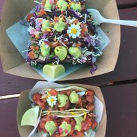   at The Groovy Floret in Portland