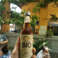 Chinotto at Vetro - Maybe closed in Bologna