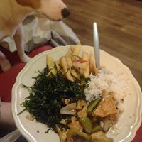  at Full Circle in South Shields