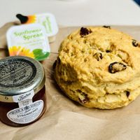   at Fountains Abbey in Ripon