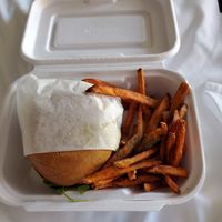 Gastropub with sweet potato fries at Native Foods - The Loop in Chicago