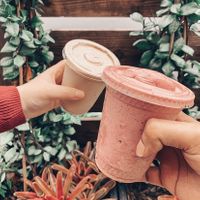 Plant-based protein options! at Ada's Natural Market & Cafe in Fort Myers