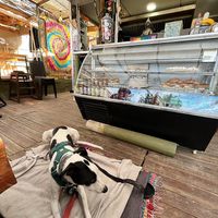 Además aceptan mascotas😄 at Anasavam Vegano Y Saludable in La Serena