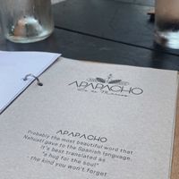 hug for the soul  at Apapacho in Lo De Marcos