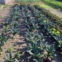  at Haus Am Park in Bad Soden-salmuenster