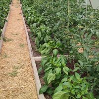  at Haus Am Park in Bad Soden-salmuenster