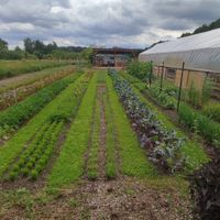  at Haus Am Park in Bad Soden-salmuenster