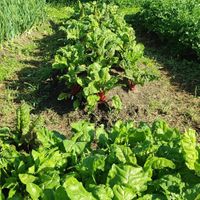  at Haus Am Park in Bad Soden-salmuenster