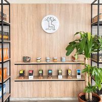  at Gaia Store in Gaziantep