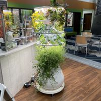 Greens tower  at Nourish u Wellness Cafe in Wapakoneta