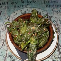 Peppers  at The Basement in Edinburgh