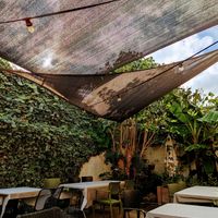 Heerlijke maaltijd, gezellig terras en een heel vriendelijke bediening! at Orathai in Oudenaarde