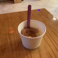 Vegan ice treat  at Fruity Yogurt in Princeton